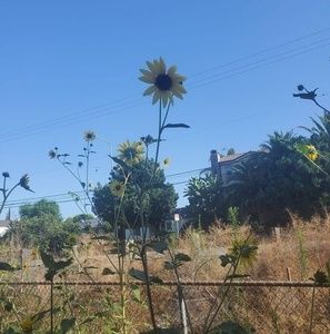 Meet your Posher, Marcela